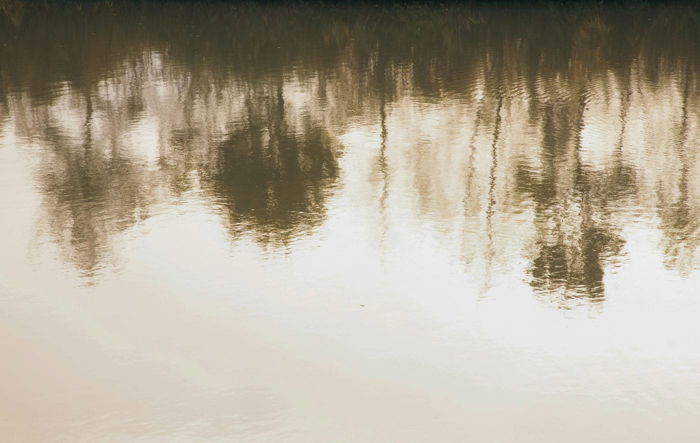 Soft tree reflections on calm water, illustrating spiritual contemplation and the wisdom of Khawaja Shamsuddin Azeemi.
