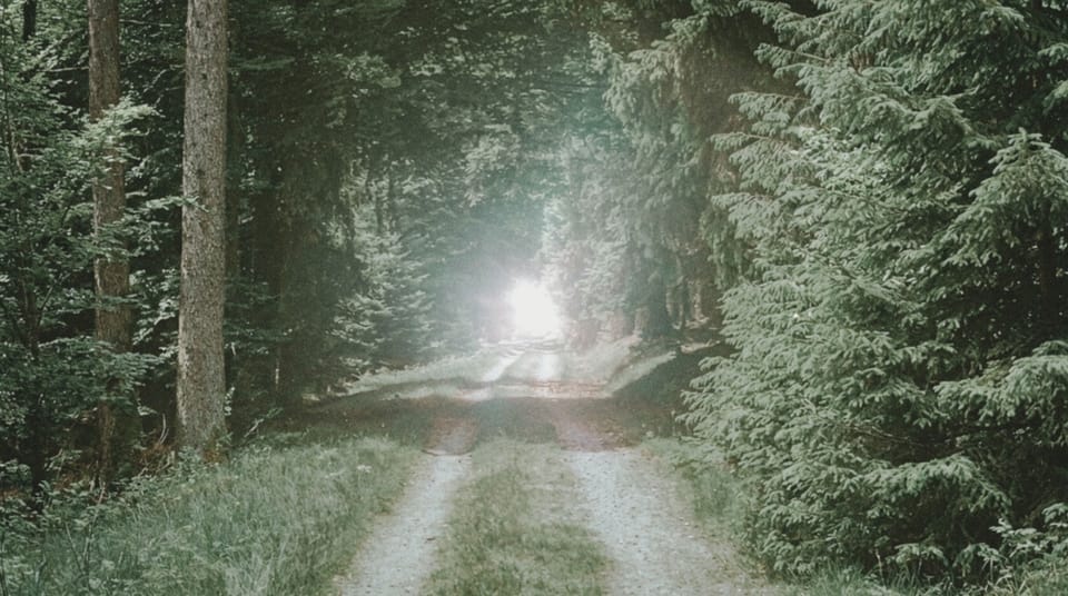 Light at the end of a forest trail | From the teachings of Khawaja Shamsuddin Azeemi (RA)